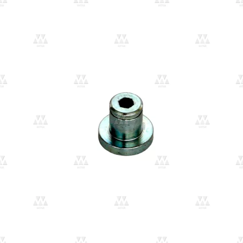 1069841P01 | BOLT FOR OPERATOR SLIDING ROLLER 1069841P01 | BOLT FOR OPERATOR SLIDING ROLLER