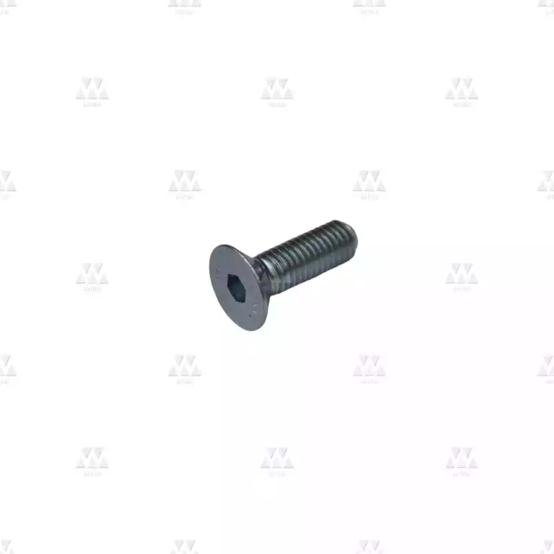 W001272 | ELASTIC WASHER 10MM W001272 | ELASTIC WASHER 10MM