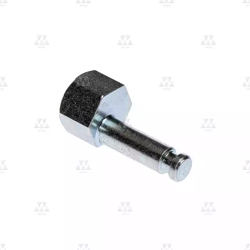 1006740P03 | SHOE SUPPORT ECCENTRIC BOLT. HEXAGON BAR, STEEL. 0,03 KG.OLD CODE 3201.05.6109V03