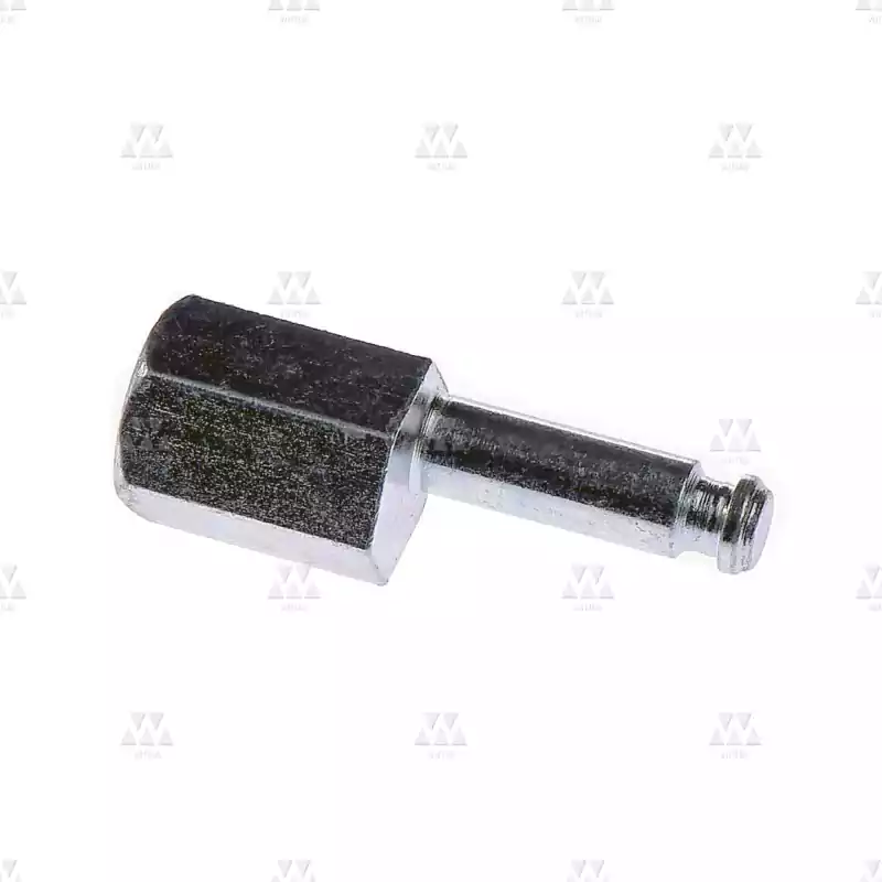 1006740P01 | SHOE SUPPORT ECCENTRIC BOLT. HEXAGON BAR, STEEL. 0,05 KG